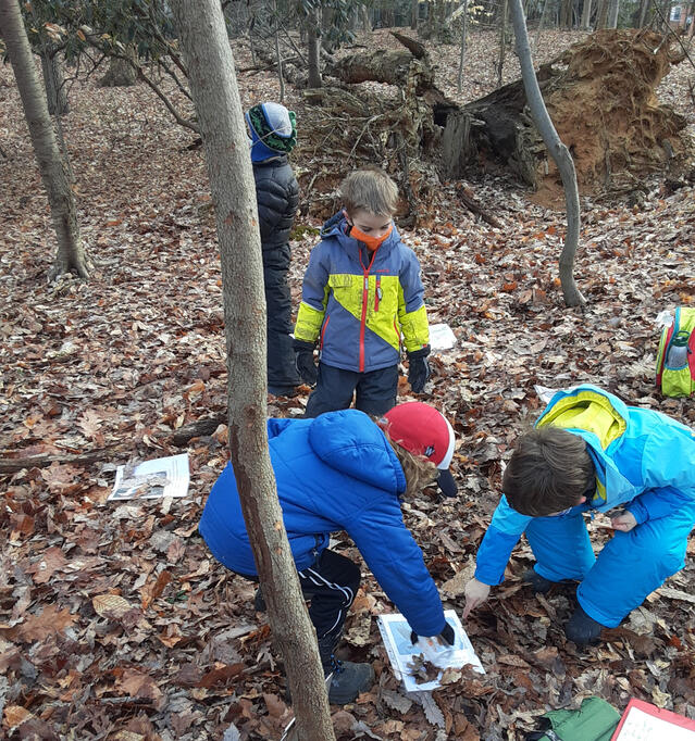 Making Observations on local DMV wildlife