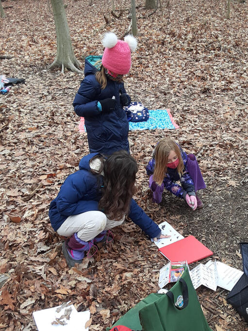 Learning about Bird Silhouettes to support their bird watching