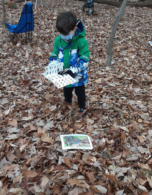 A student is using a field guide and consulting that while learning about local snakes.