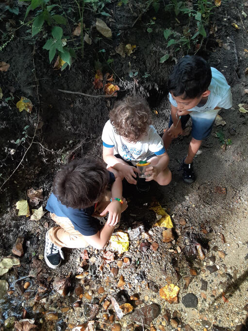 Checking out a bug through the bug viewer