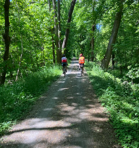 Two people biking along a gravel path on the C&O canal with green trees and grass along the sides and overhead.