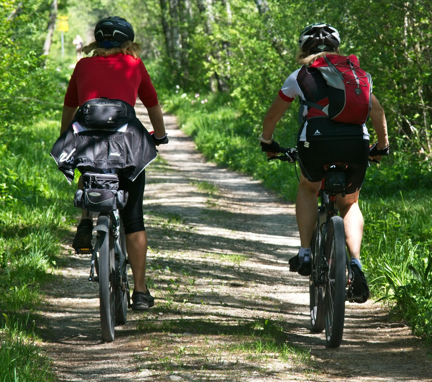 Two people biking along a gravel path on the C&O canal with green trees and grass along the sides and overhead.